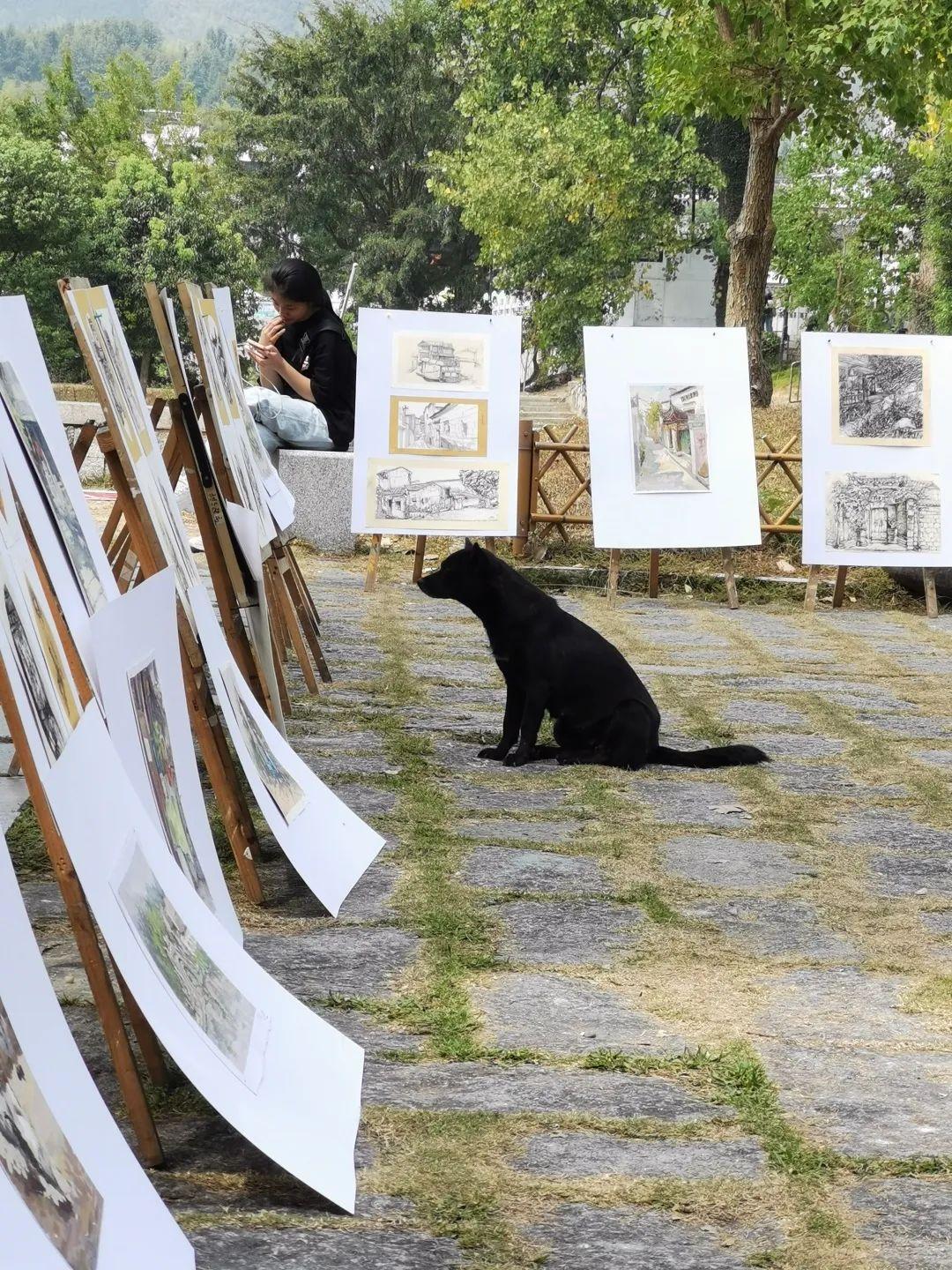 凝结画室苹果版下载爱思助手苹果版app下载-第1张图片-太平洋在线下载