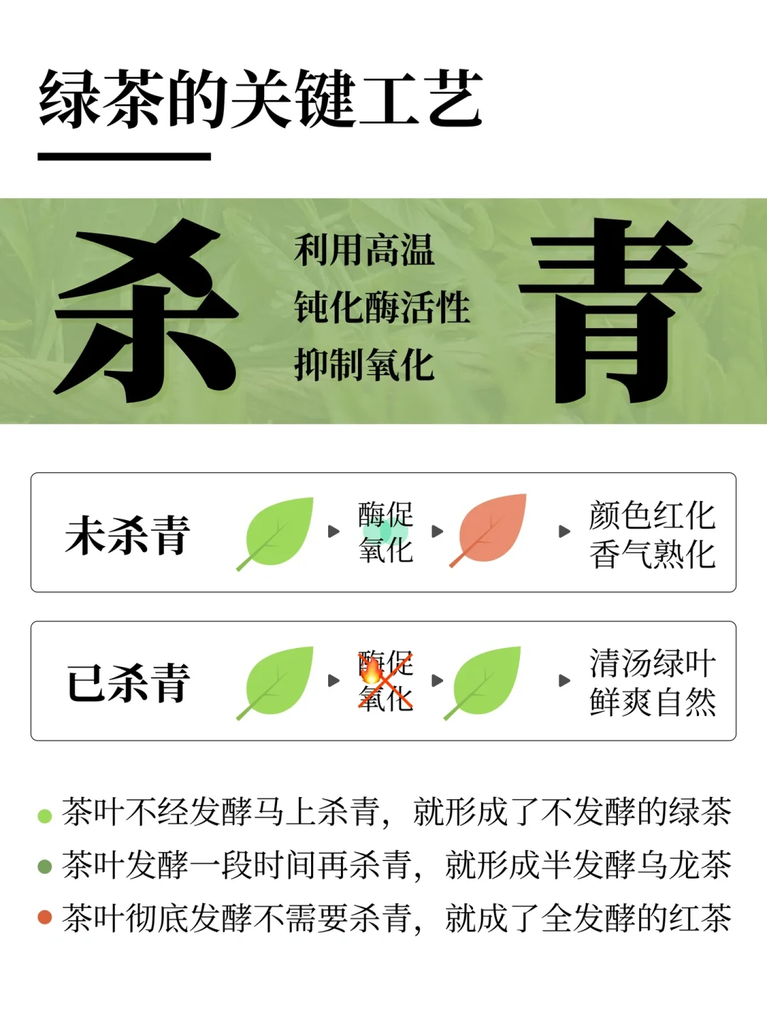 绿茶安卓版绿茶浏览器官方网站-第2张图片-太平洋在线下载